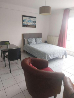 Residence d'Anjou - Grand studio avec balcon et parking privatif